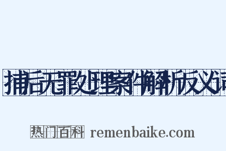 捕后无罪处理案件解析反义词是什么意思的图片